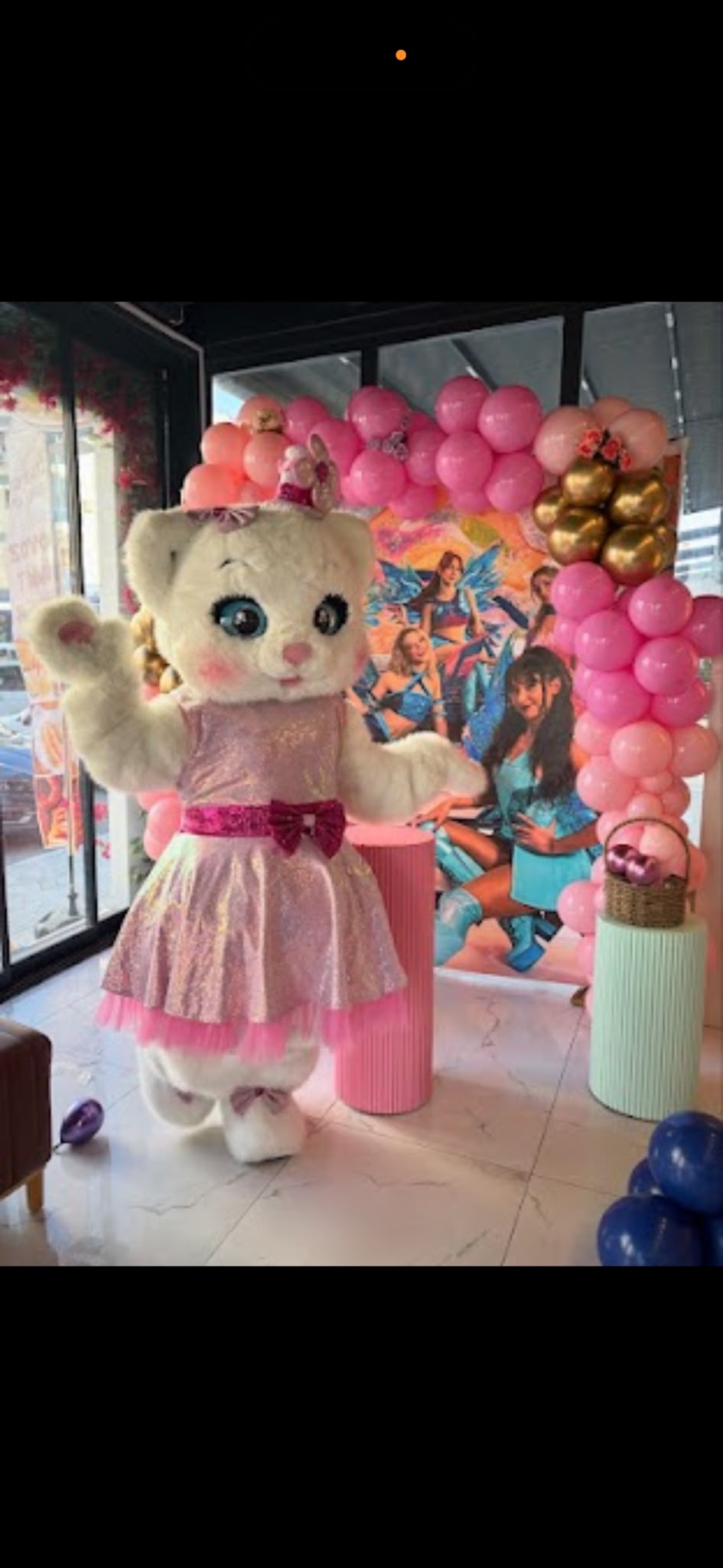 İzmir doğum günü balon arkası ve maskot